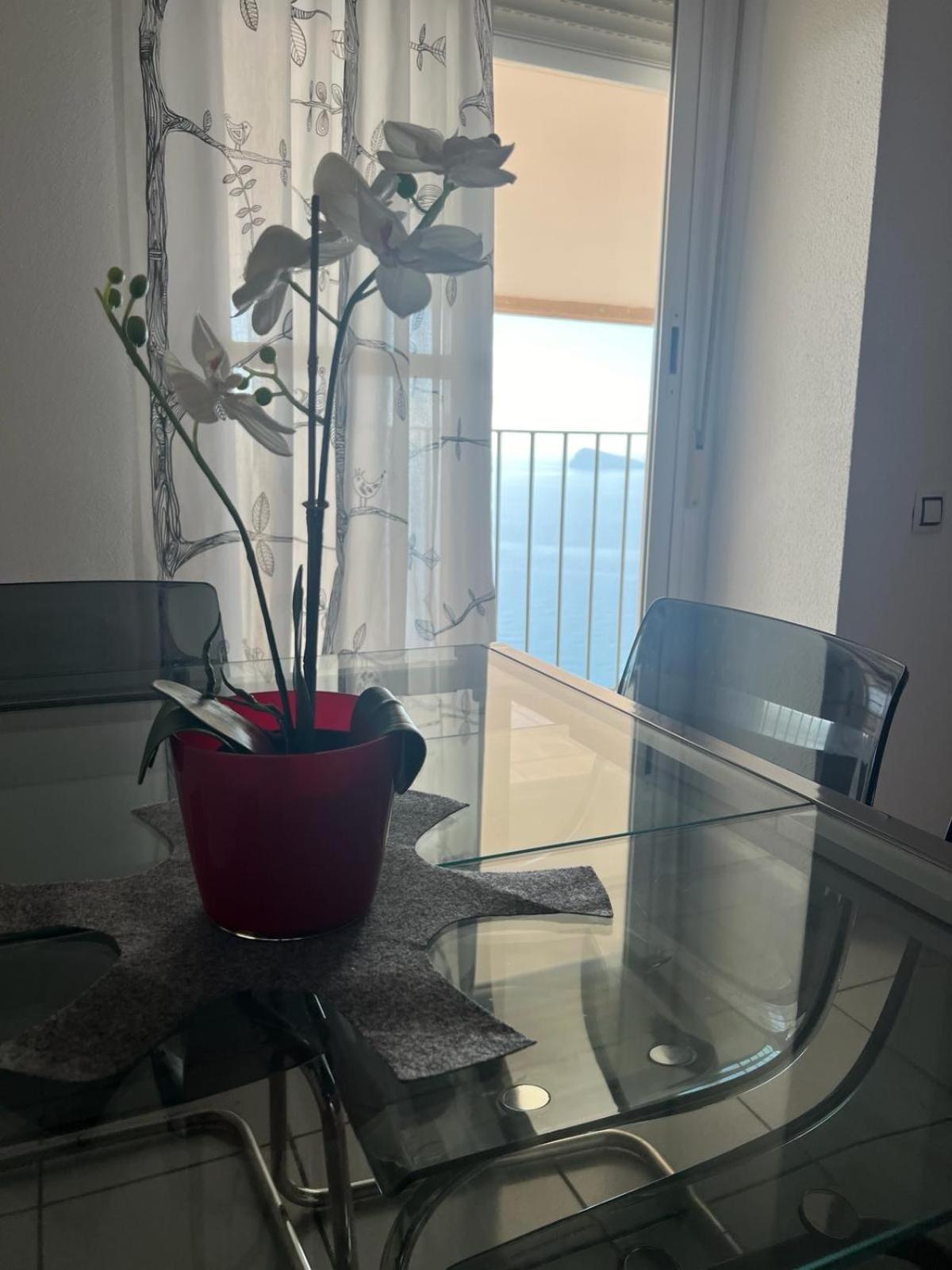 Apartamento Para 4 Personas Frente Al Mar Benidorm Eksteriør billede